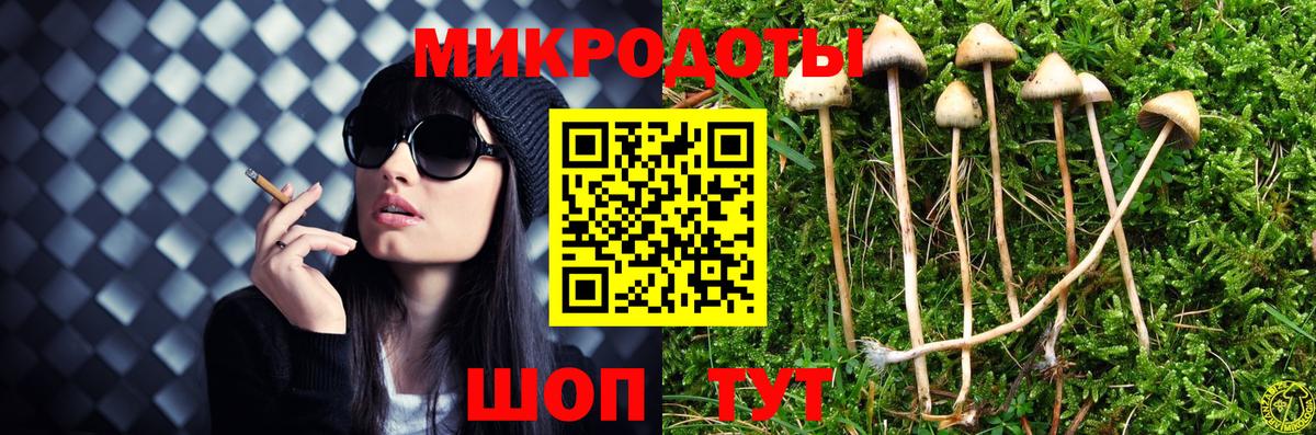 Галлюциногенные грибы Psilocybe  Вход с VPN  Конаково 