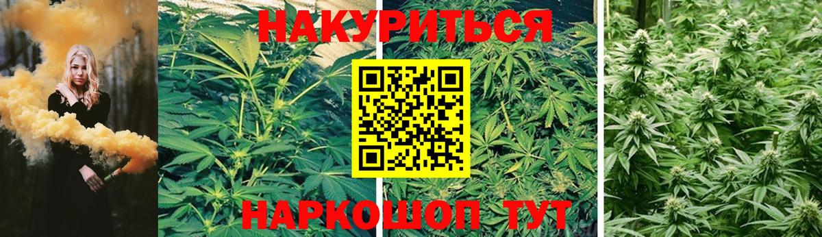МАРИХУАНА SATIVA & INDICA Конаково